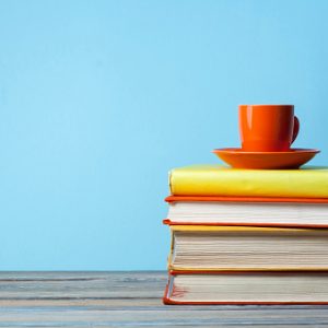 What is Fitbit Labs visual data 8